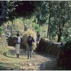 NEPAL 1992 - ZWISCHEN HIMMEL UND ERDE - JOMSOM-TREK - NAUDANDA - CHANDRAKOTH (05 32)