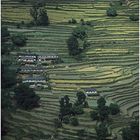 NEPAL 1992 - ZWISCHEN HIMMEL UND ERDE - JOMSOM-TREK - POKHARA - NAUDANDA - (03 08)