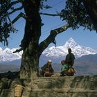 Nepal