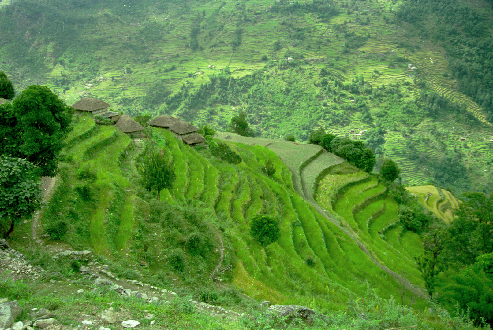 Nepal