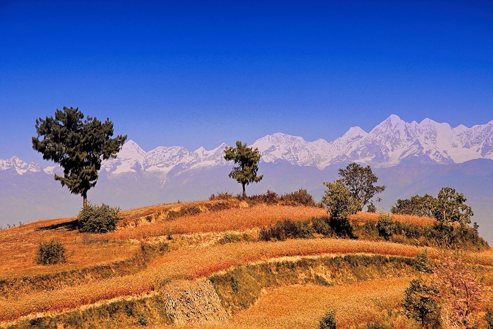 Nepal