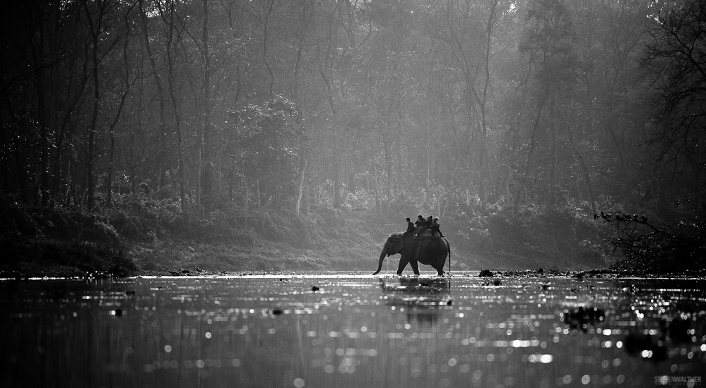 Nepal | Chitwan NP 2