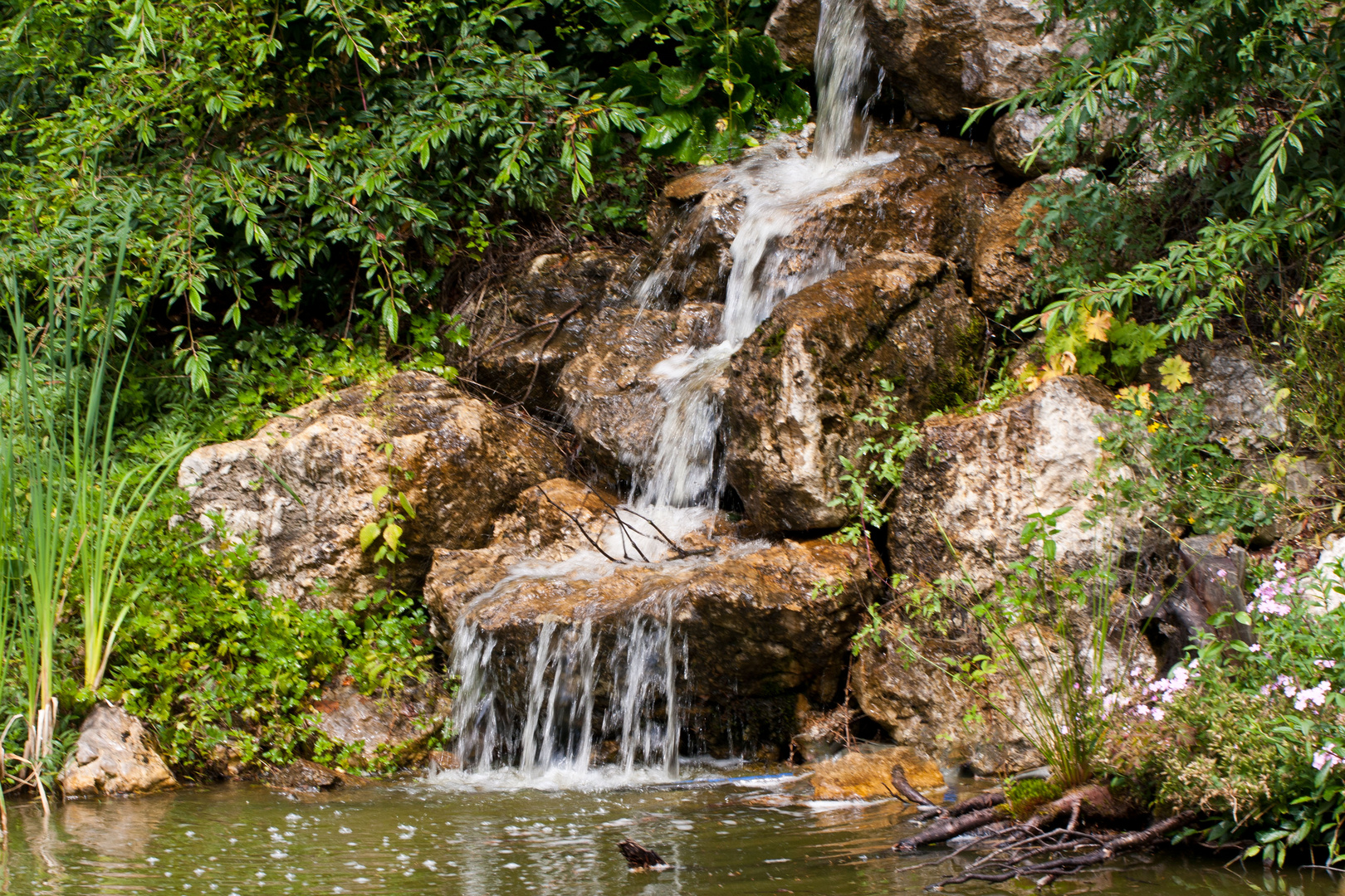 Nepal - Himalaya - Park in Wiesent - 3 -