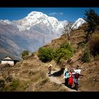 Nepal | Im Annapurna Sanctuary