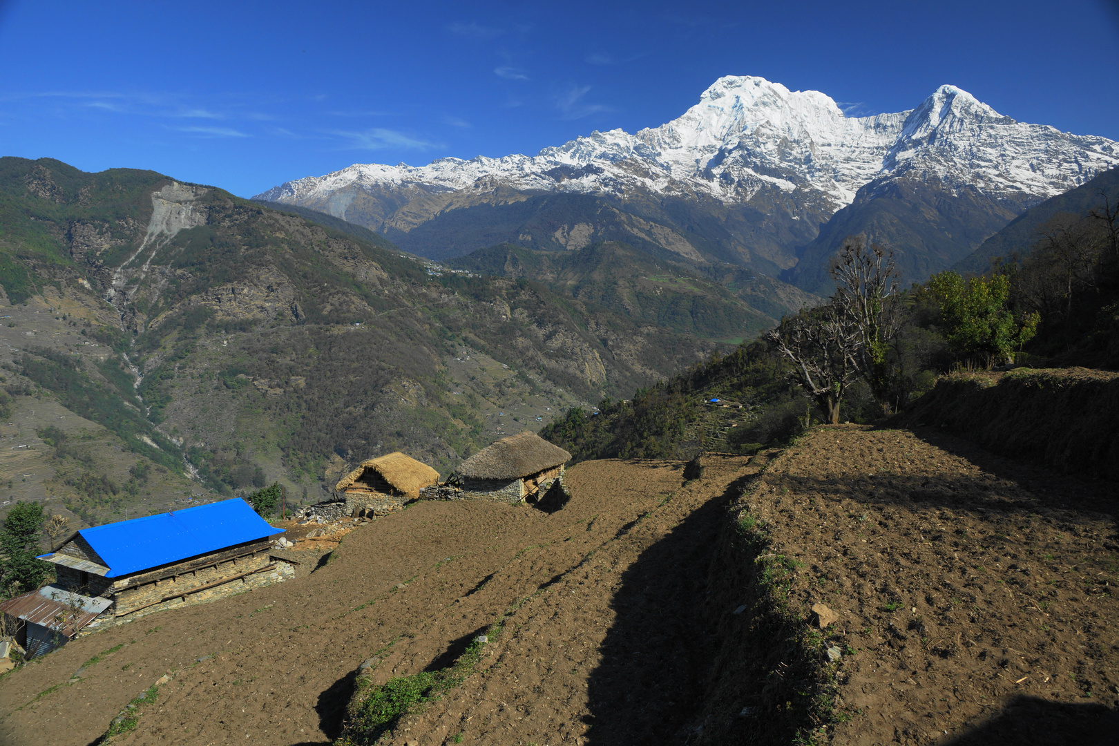 Nepal morgens am Annapurna