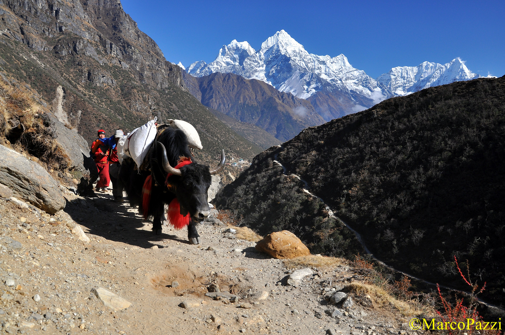 Nepal, Mountain Transport