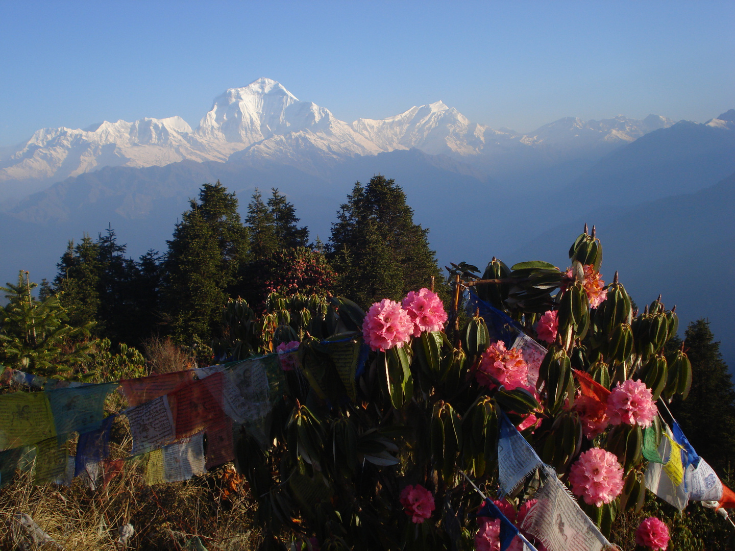 Nepal - Poon Hill