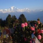 Nepal - Poon Hill