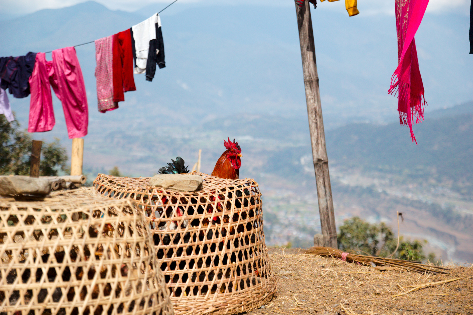 Nepal (Sarangkot)