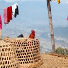 Nepal (Sarangkot)