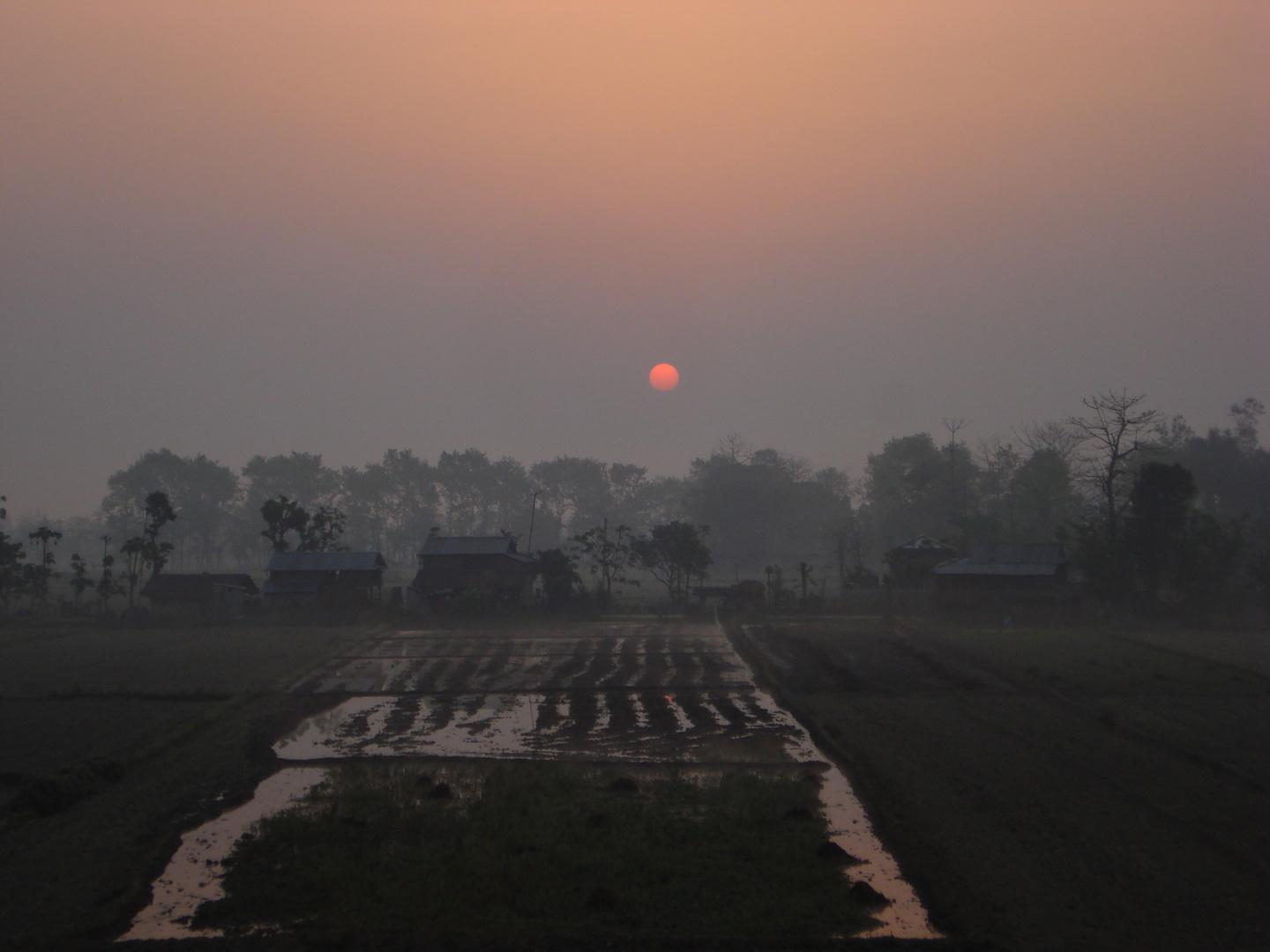 Nepal - Sonnenaufgang im Chitwan National Park