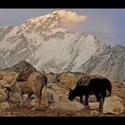 Nepal Sunset