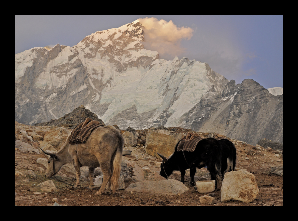 Nepal Sunset