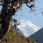 Nepal: Trekkingtour- Immer im Bild, die Hochgebirgskette mit den "Achttausendern"