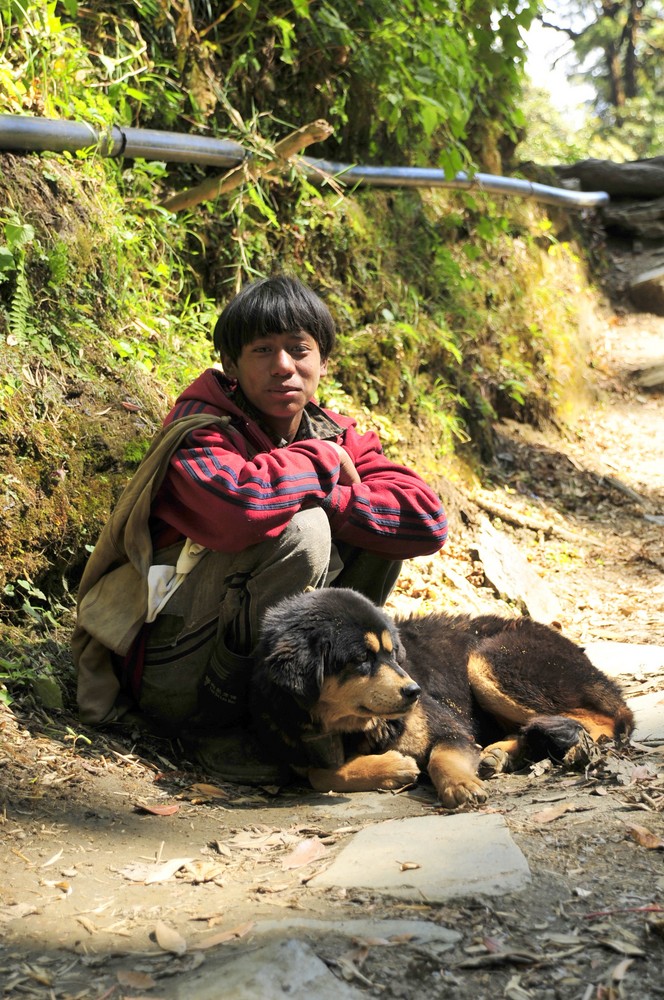 Nepalese Sheppard