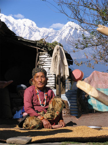 Nepalese Woman Drying Rice