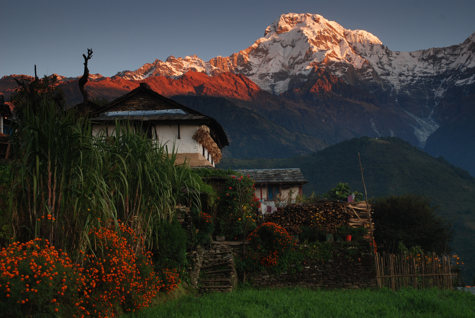 Nepalreise 2009 Erlebnistour