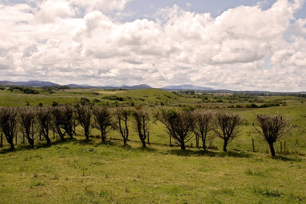 Nephin View