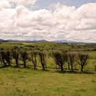 Nephin View