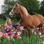 Nepomuk im Tulpenfeld