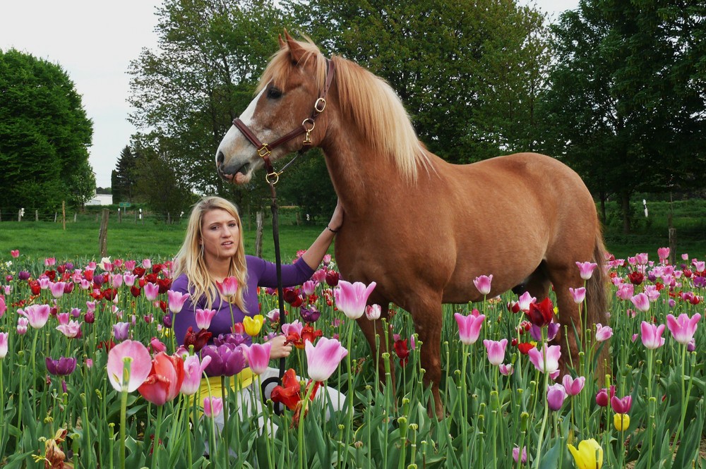 Nepomuk im Tulpenfeld