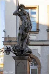 Neptun