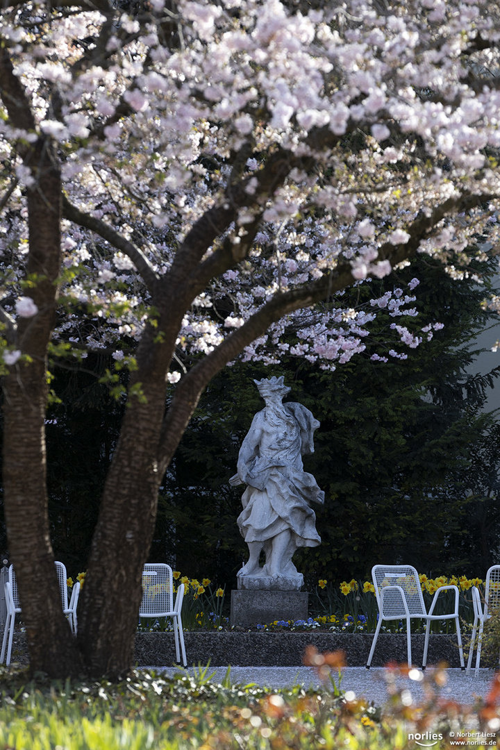 Neptun im Hofgarten