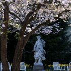 Neptun im Hofgarten