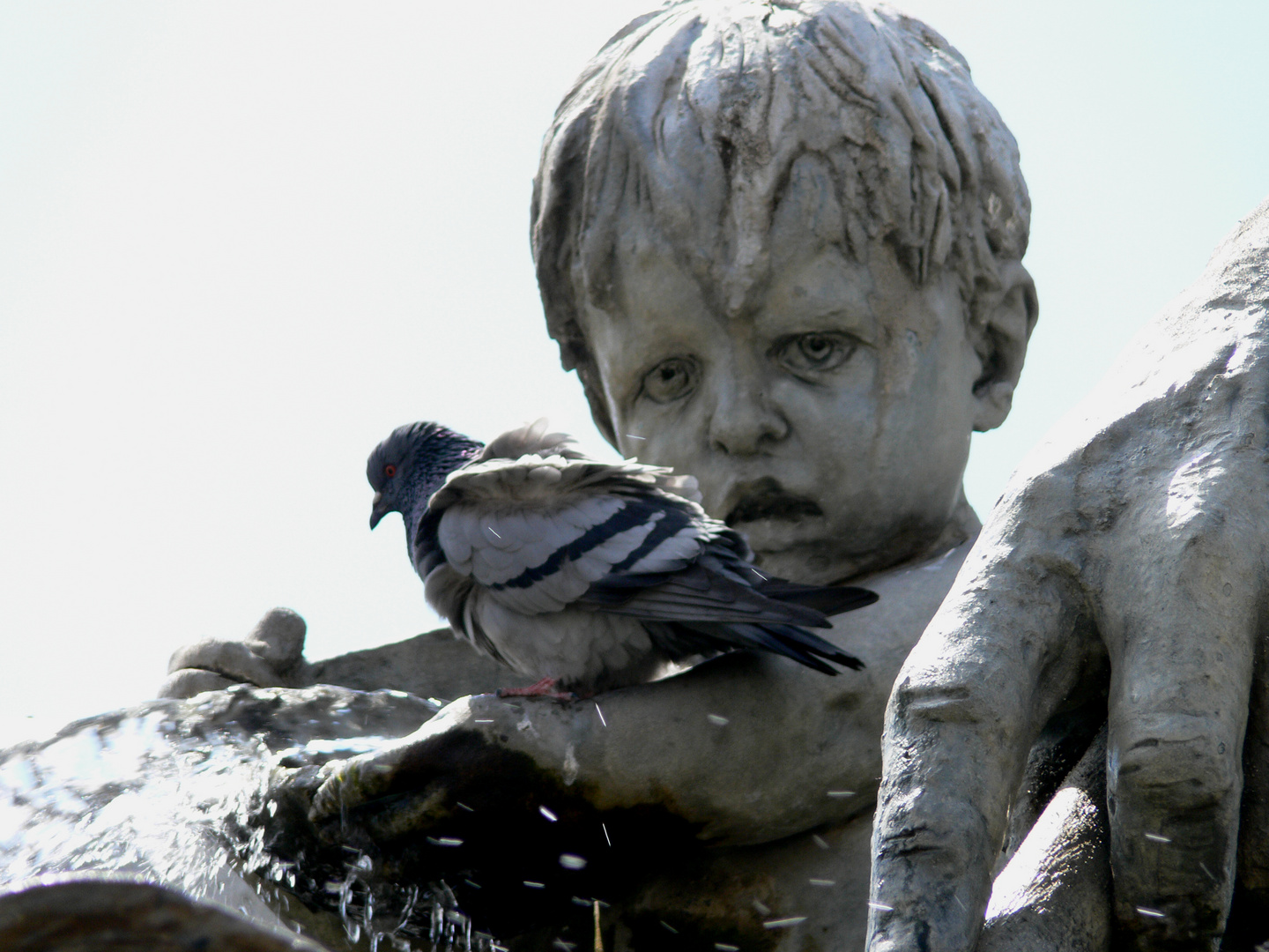 Neptunbrunnen mit Taube