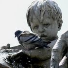 Neptunbrunnen mit Taube