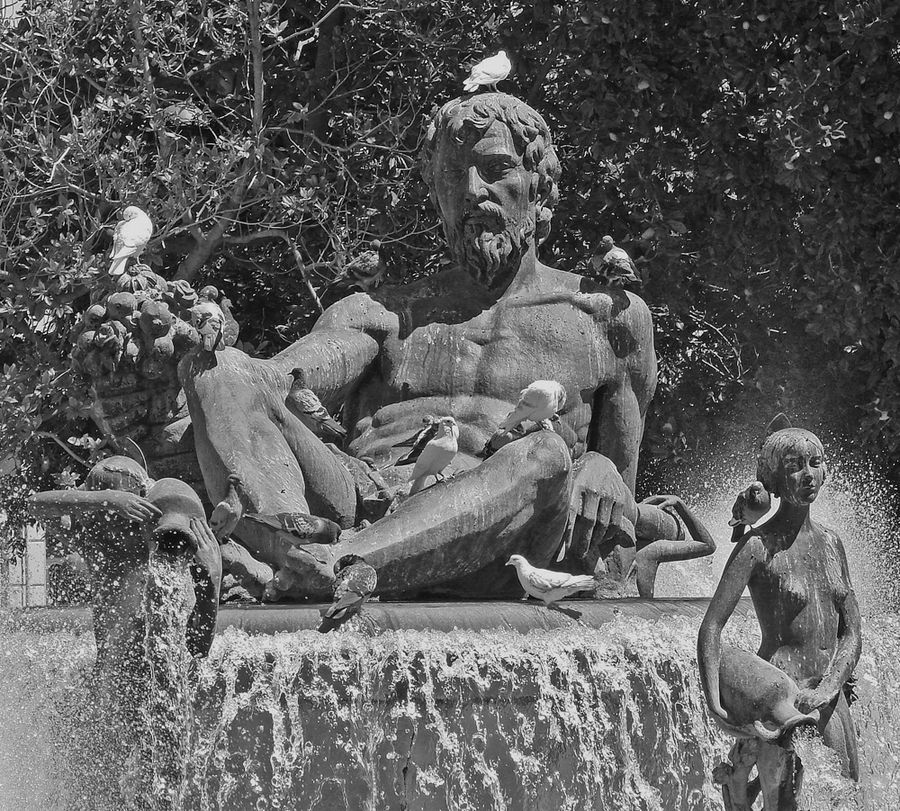 Neptune and Pigeons