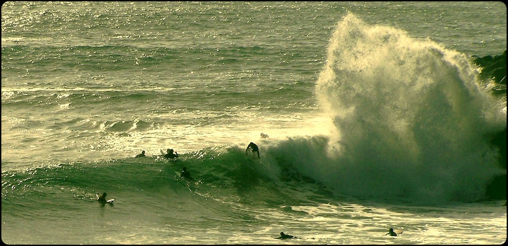 NEPTUNO IN HORTA