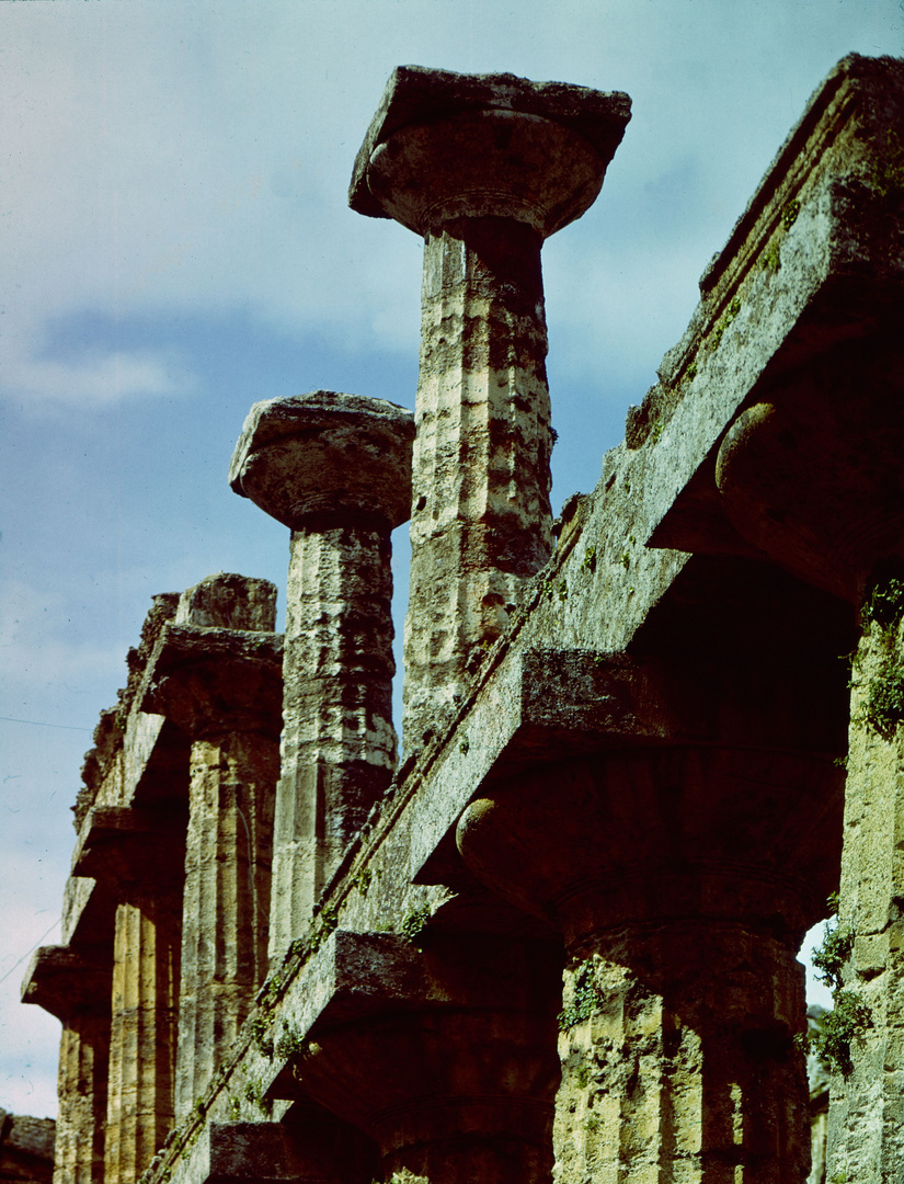 Neptuntempel Paestum 1965 