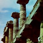 Neptuntempel Paestum 1965 