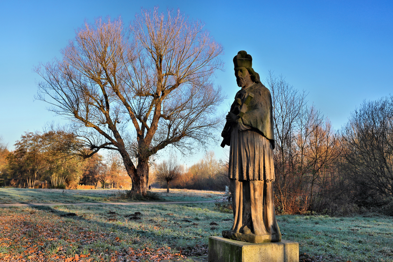 Nepumukstatue im Auengebiet