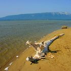 Neretva meets Adriatics - endless sandbeaches