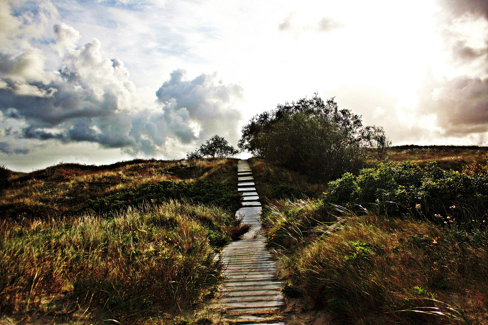 Neringa, Kurische Nehrung