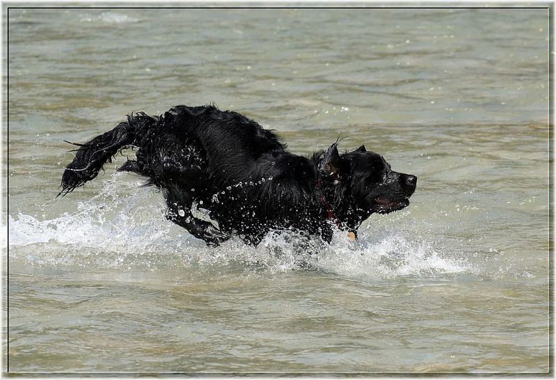 "Nero" in seinem Element