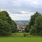 Neroberg mit Blick auf Wiesbaden