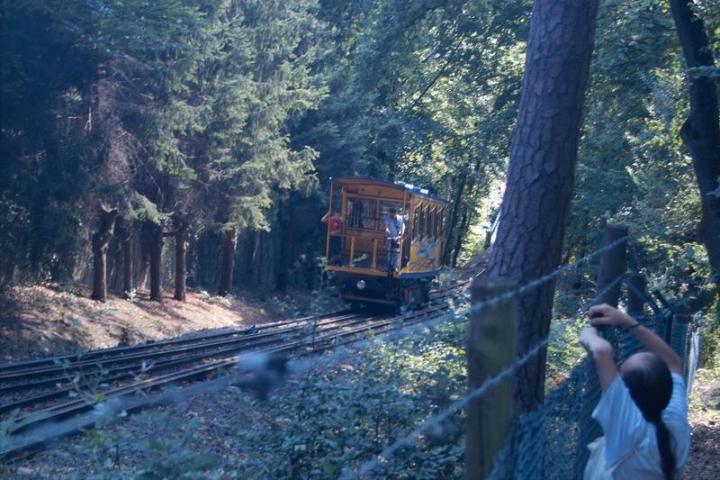 Nerobergbahn im Gegenlicht und mit zweitem Fotografen, der am Zaun klebt.