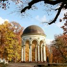 Nerobergtempel im Herbstgewand