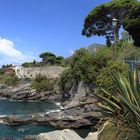 Nervi