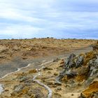 nervous woman at petrified forest