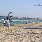 Nessebar Gulls