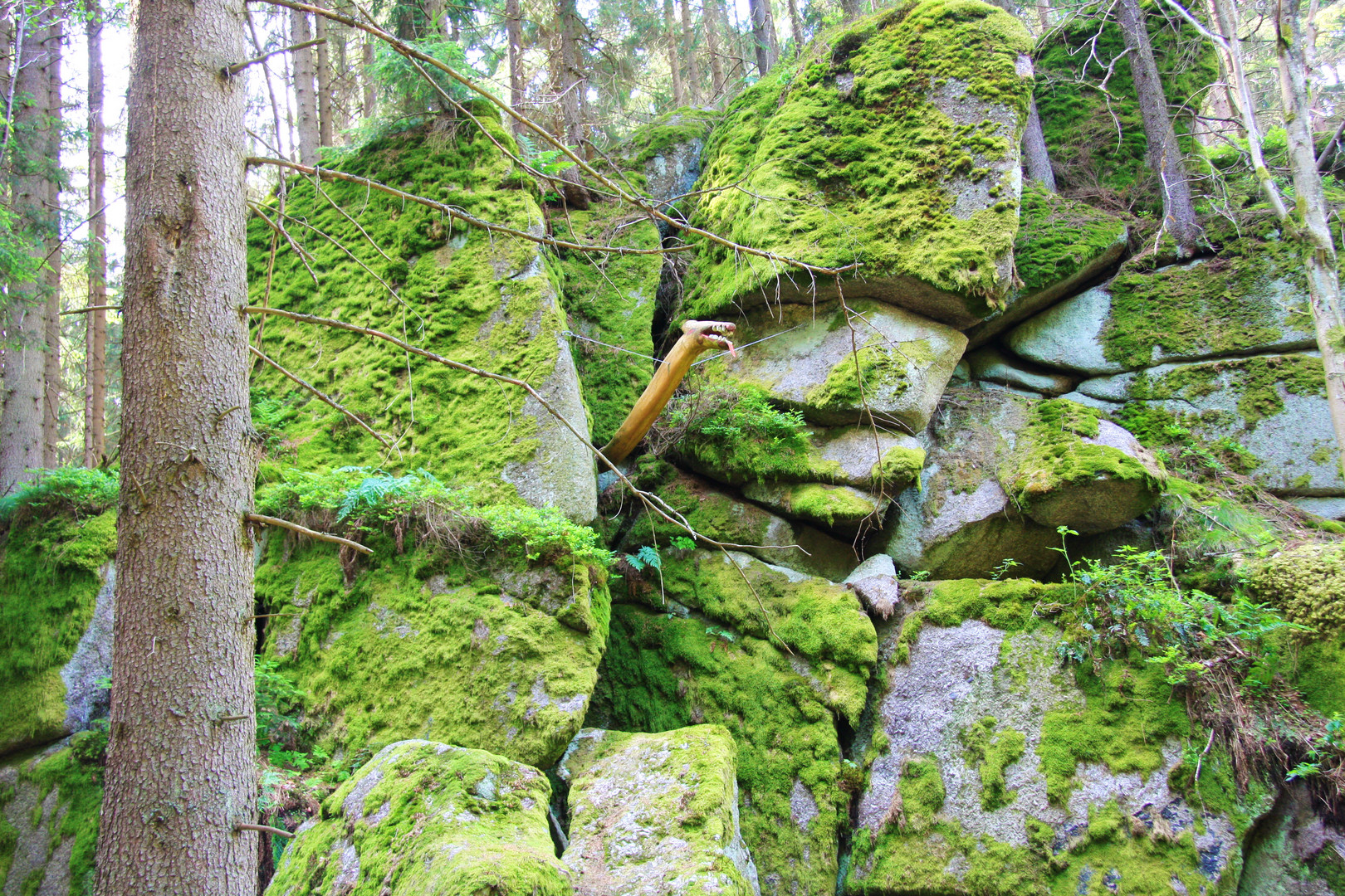 Nessi aus dem Waldnaabtal