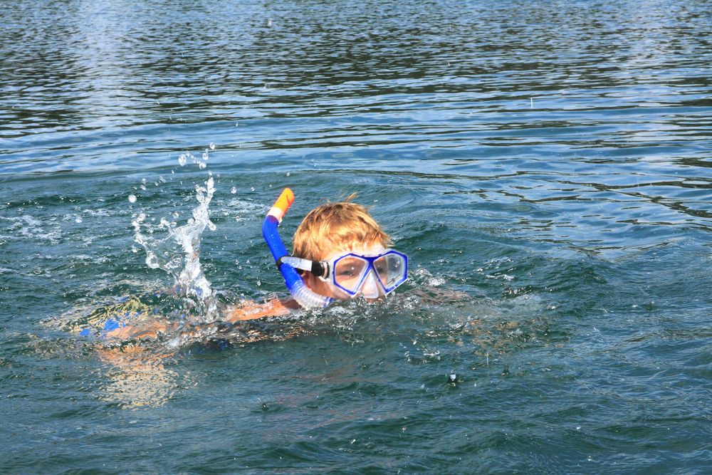 Nessi Taucht auf im Hochstrasser See.