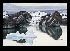 Nessie  im Jökulsarlon