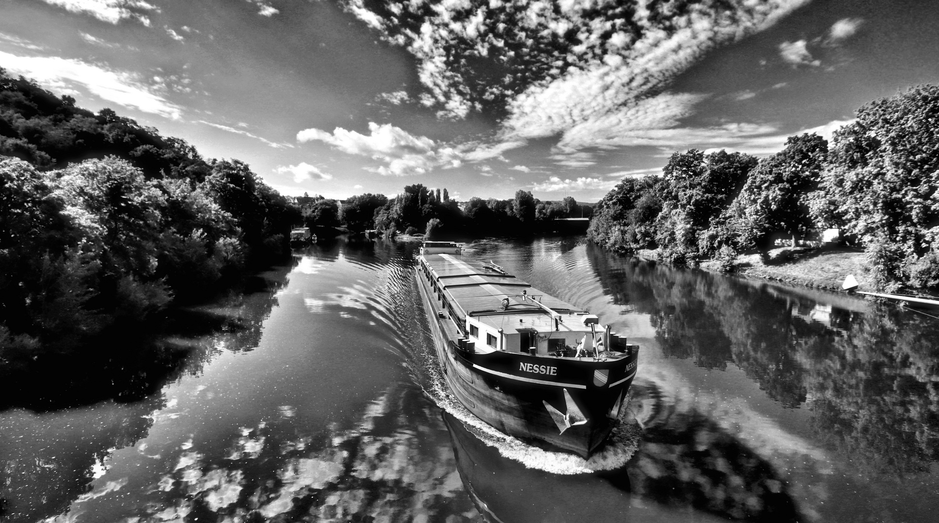 NESSIE IM NECKAR