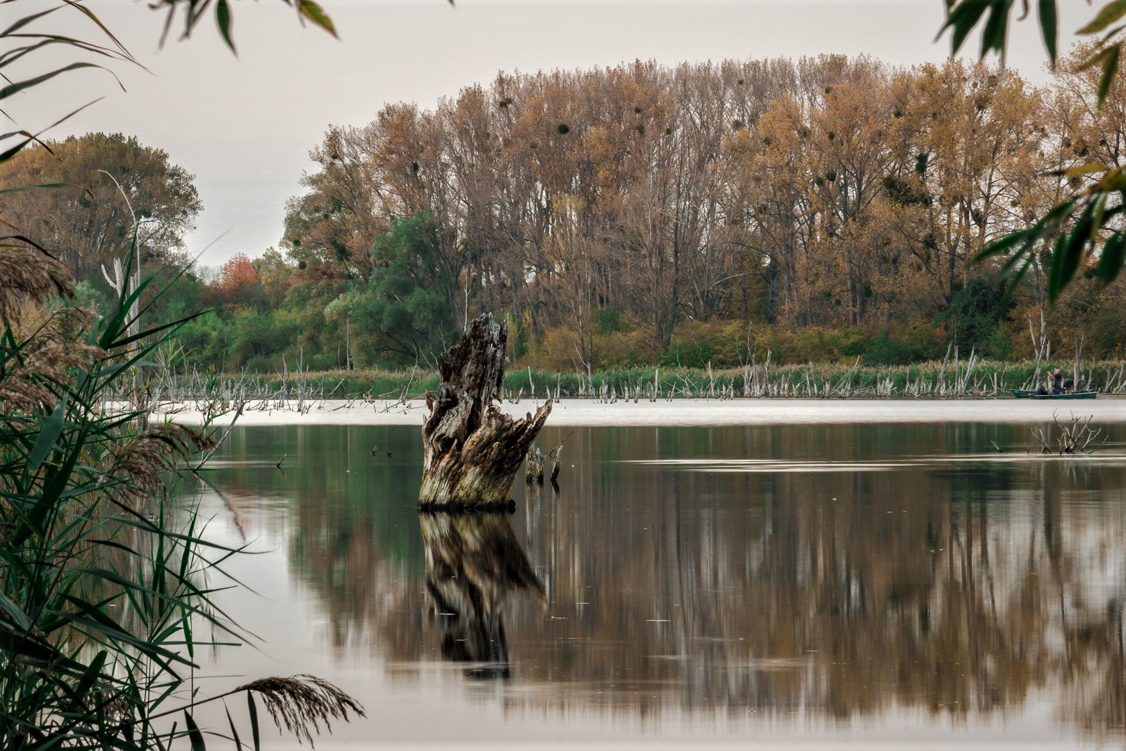 Nessie im Wilslebener See