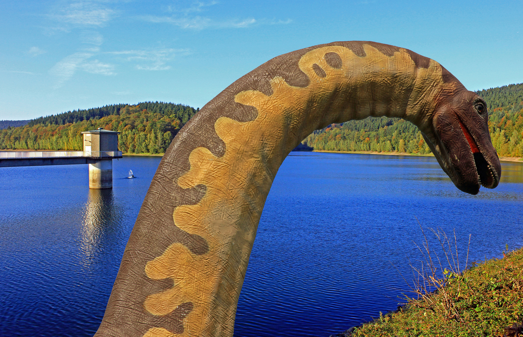 Nessie in der Breitenbachtalsperre (Hilchenbach-Allenbach)